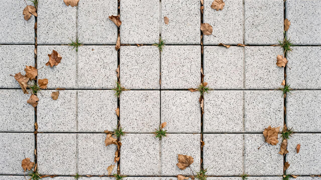 Textured grey stone paving blocks feature square grid patterns with scattered dry brown autumn leaves and tiny green grass blades