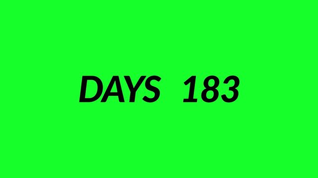 365 day numbers counter animation in 4k animation with alpha channel  0 to 365 fast count up for yearly challenges on transparent background 1 year number counter animation