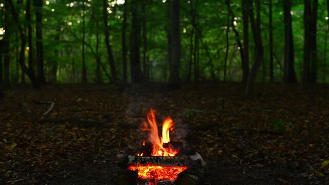 Small campfire burning with smoke in autumn forest wood flame. Seamless loop of small bonfire smoking outdoors. Peaceful autumn woodland background video for relaxation.