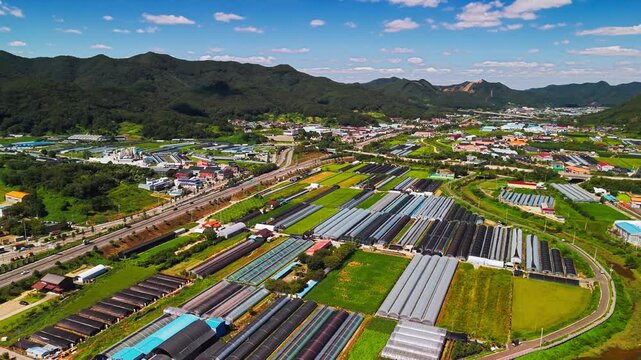 Aerial view over long rows of plastic greenhouses and rice fields in Chubu myeon Geumsan South Korea with Maninsan mountain ridges rising behind village houses and factories under summer sky