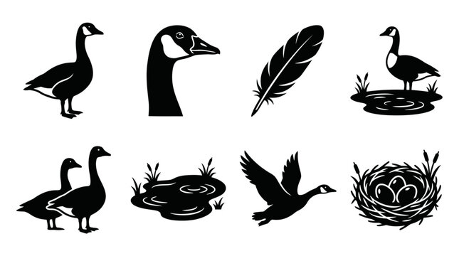 Set of black silhouette icons featuring Canadian geese in various poses and environments.