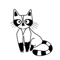 illustration of raccoon, doodle of raccoon , isolated of raccoon on white background © shinoportogis