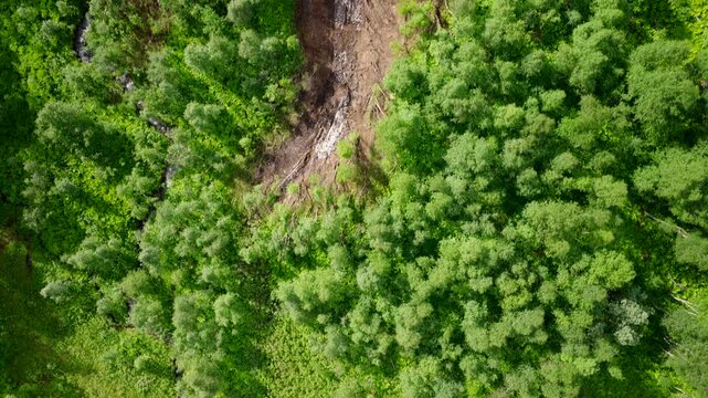 4k aerial panning view, aftermath of avalanche damage cutting through Norwegian landscape, revealing disturbed ground and vegetation surrounded by dense forest