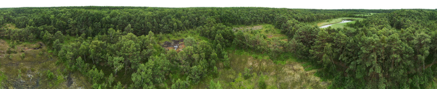 high angle view of a green forest turfland landscape with bog water, trees and grass of drone perspective with sky isolated on white or transparent png