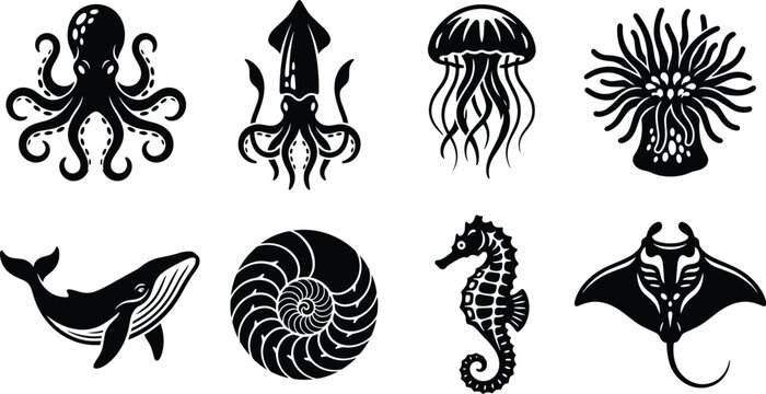 Collection of black and white marine life featuring octopus squid jellyfish whale and seahorse