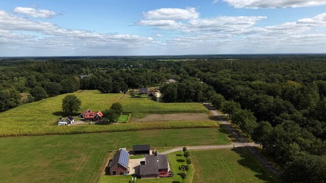 Red-roofed farmhouse stands beside cornfield, second brick house with dark barn sits across open pasture, dense forest borders scattered properties in rural Netherlands. Aerial drone wide shot