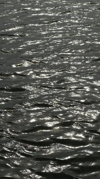 Reflective water surface with gentle wave texture. Reflective water surface ripples softly in steady light. 
