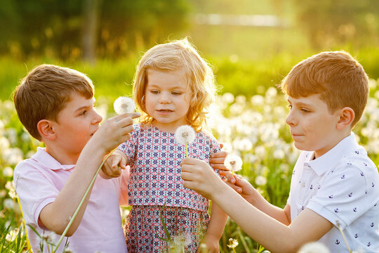 Two kids boys and little baby girl blowing on a dandelion flowers on the nature in the summer. Happy healthy toddler and school children with blowballs, having fun. Family of three love, together