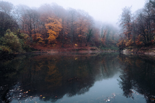 Autumn forest with fog reflecting on still lake water