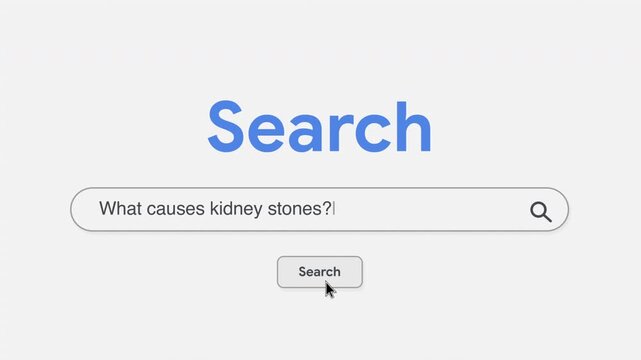 What causes kidney stones Search Prompt