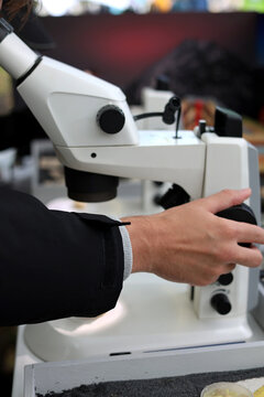 Scientist using stereo microscope in laboratory, adjusting focus knob for research and analysis