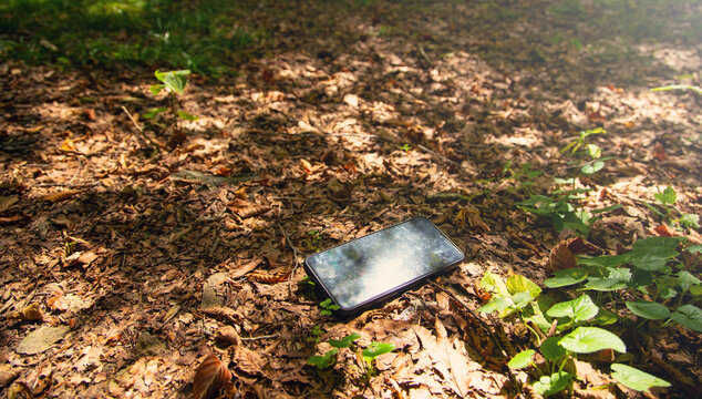 Black mobile phone lost in forest.