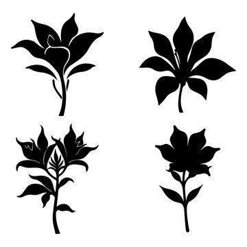 Botanical Flower Silhouette Collection, Decorative Black Floral Vector Illustration