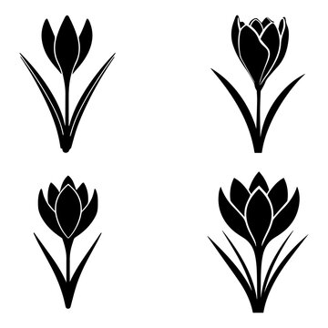 Tulip Flower Silhouette Collection, Elegant Botanical Black Vector Illustration