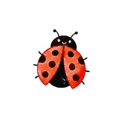 Fototapeta premium Cute cartoon ladybug beetle with a smiling face and spots isolated on white background. Hand-drawn watercolor nature insect illustration