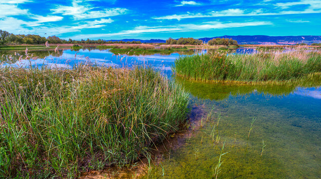 Tablas de Daimiel National Park, Daimiel, Ciudad Real, Castilla La Mancha, Spain, Europe
