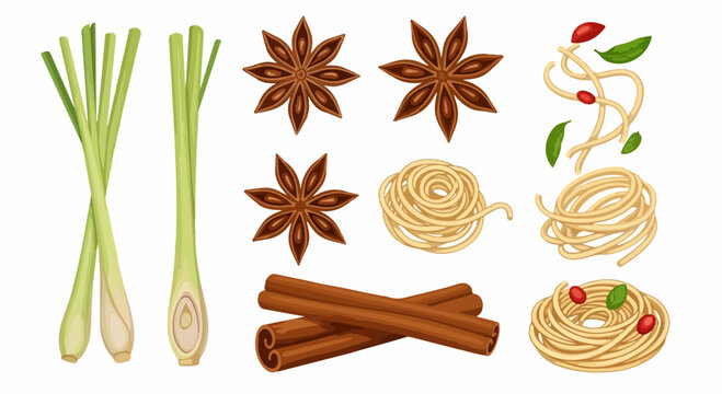 Fresh lemongrass star anise cinnamon and noodles illustration