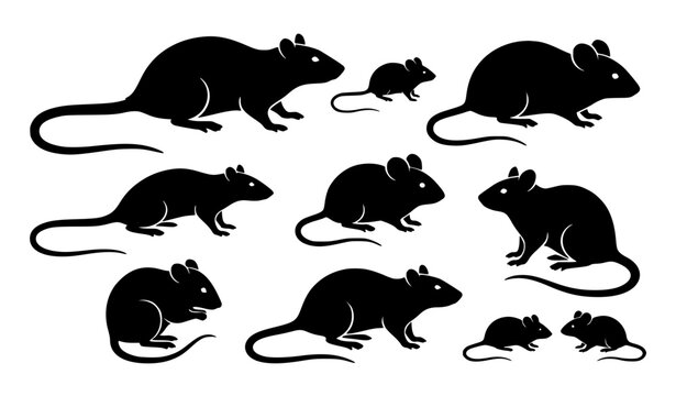 Vintage black rat and mouse rodent silhouettes vector collection