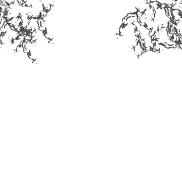 abstract gothic background 