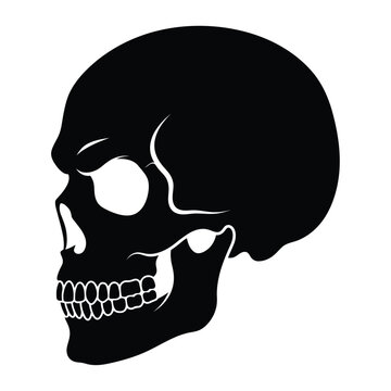 Human skull side view vector silhouette icon, black dark head skeleton profile emblem isolated on white background for gothic logo tattoo badge or halloween apparel print design