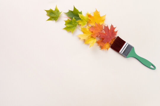 Paintbrush creating autumn maple leaves seasonal transition