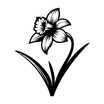 Iris Flower Silhouette, Elegant Botanical Black Vector Illustration