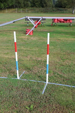 Dog agility slalom obstacles on a green grass field in summer.