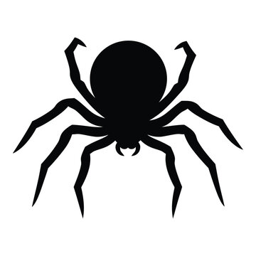 Spooky round-bodied black widow spider top view vector silhouette clipart isolated on white background for Halloween party decoration, craft, cutting file, logo, sticker, and t-shirt design