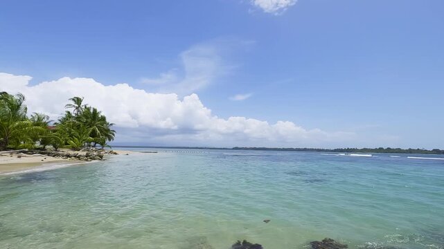 Clear Caribbean water and palm-lined tropical beach on Isla Colon in Bocas del Toro, Panama