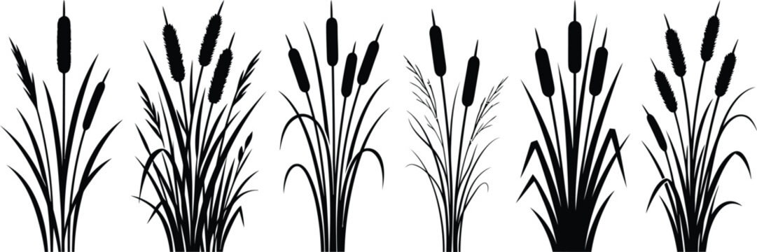 Hand drawn cattail reed silhouettes collection for wetland botanical nature designs