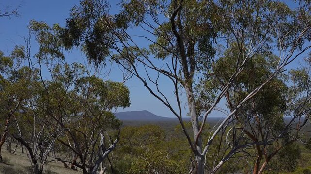 view of the bungalbin hill in the Helena and Aurora Ranges, great western woodlands, Western Australia