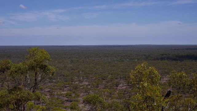 great western woodlands, view to Koolyanobbing, Western Australia 