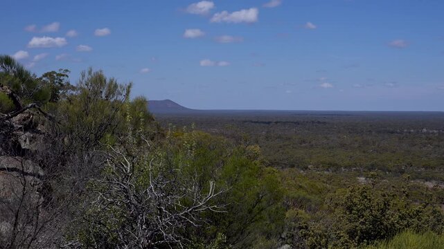 bungalbin hill in the Woodlands of Western Australia, Eucalyptus Trees, Great Western Woodlands, Australia