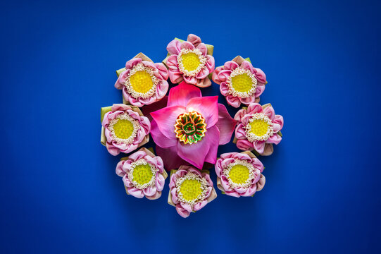 Diwali festival flat lay with a lit diya lamp inside a lotus flower surrounded by lotus blossoms on blue.