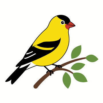 Yellow American goldfinch perched on branch with green leaves, flat vector illustration, cute cartoon songbird isolated on white background