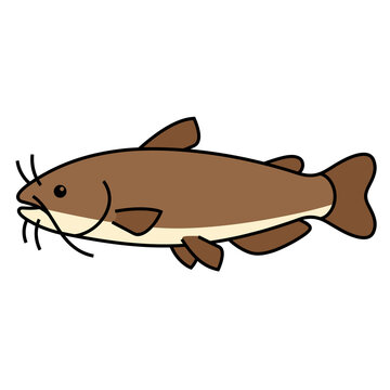vector illustration of a fish