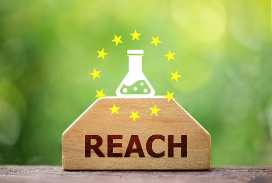 REACH text on wood and icon on natural background.Registration, Evaluation, Authorization, and Restriction of Chemicals concept.