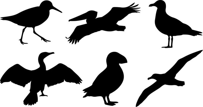 Set of seabirds silhouettes isolated vector illustration