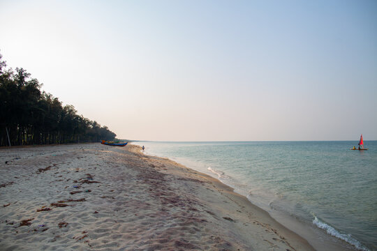 Wide sandy shore with casuarina trees and calm shallow waters in Mandapam, Tamil Nadu, India