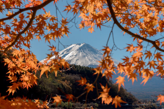 Peaceful autumn scene at lake Kawaguchiko in Japan showing serene mountain view with bright orange maple tree foliage creating joyous mood