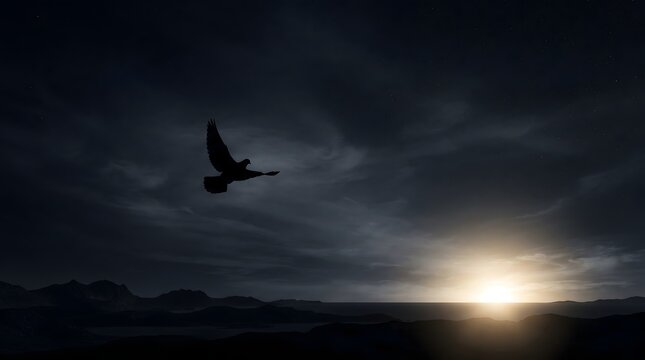 Bird silhouette soaring through dark moody night sky with soft sunbeam flare on horizon