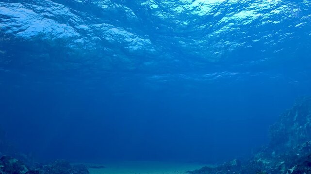 underwater scene with sandy floor, rocks and coral, looking up at water surface with sun rays refracting and shining through, seamless animated loop