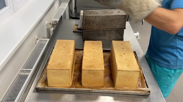 Shaping sandwich bread in bakery. Worker in blue shirt wearing worn quilted heatproof gloves handling textured metal molds 