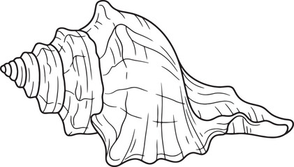 Fototapeta premium Precise black and white line art conch shell illustration
