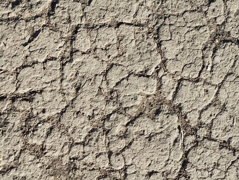 Gros plan sur de la terre craquel&eacute;e &agrave; la campagne