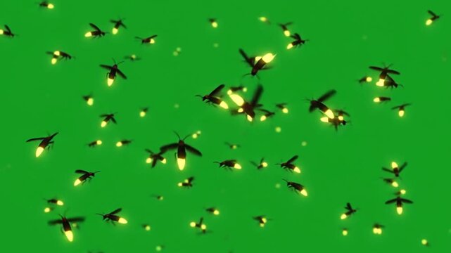 Numerous fireflies gather together in the dark night casting soft glowing lights across the vibrant green field creating a magical atmosphere during the warm summer evening hours