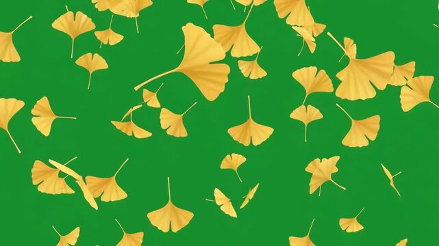 Golden ginkgo leaves falling gently through the air creating a peaceful autumn atmosphere across the vibrant green environment filled with natural seasonal beauty and floating foliage throughout