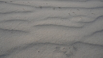Full-frame close-up view of wind-blown ripple patterns on fine dry beach sand. © Ahmad
