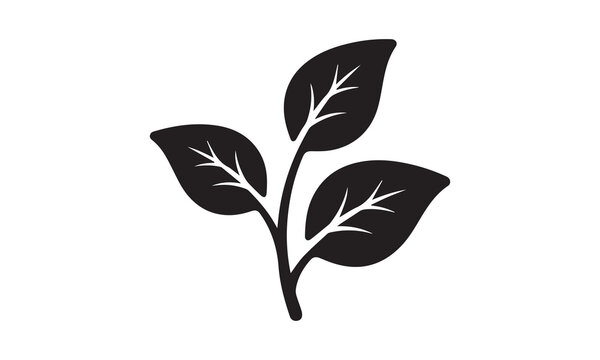 Black silhouette icon of three leaves on a stem with botanical environment silhouette sustainabili