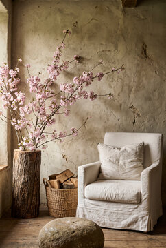 Serene cherry blossom branches beside a weathered armchair in a tranquil rustic room